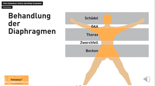 (Bildmaterial aus den Video-Unterlagen zum Kurs)